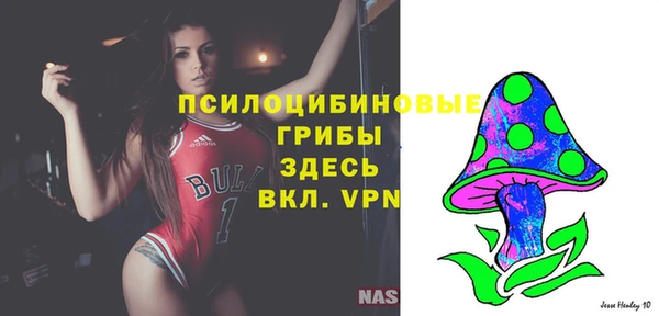 первитин Балахна