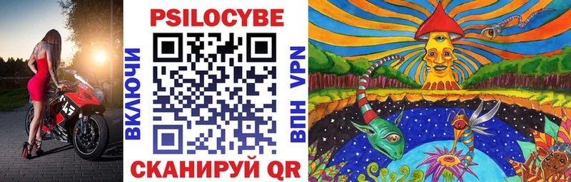 Галлюциногенные грибы Cubensis  купить  цена  Новоалтайск 