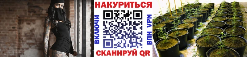 Марихуана конопля  наркошоп  Новоалтайск 
